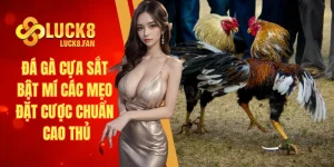 Đá gà cựa sắt