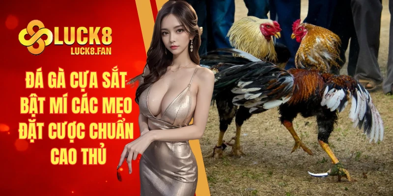 Đá gà cựa sắt