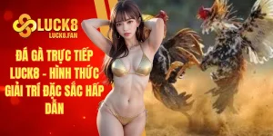 Đá gà trực tiếp