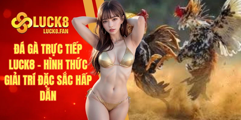 Đá gà trực tiếp