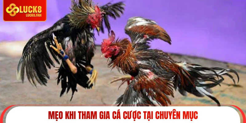 Mẹo khi tham gia cá cược tại chuyên mục