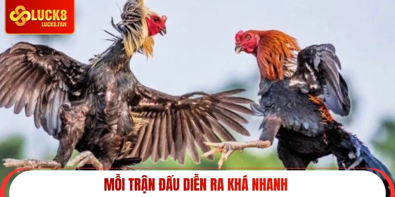 Mỗi trận đấu diễn ra khá nhanh