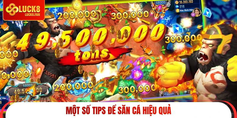 Một số tips để săn cá hiệu quả