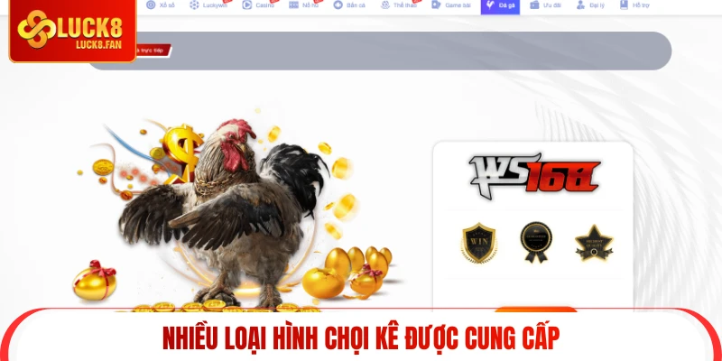 Nhiều loại hình chọi kê được cung cấp